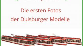 NF4_Gruppe